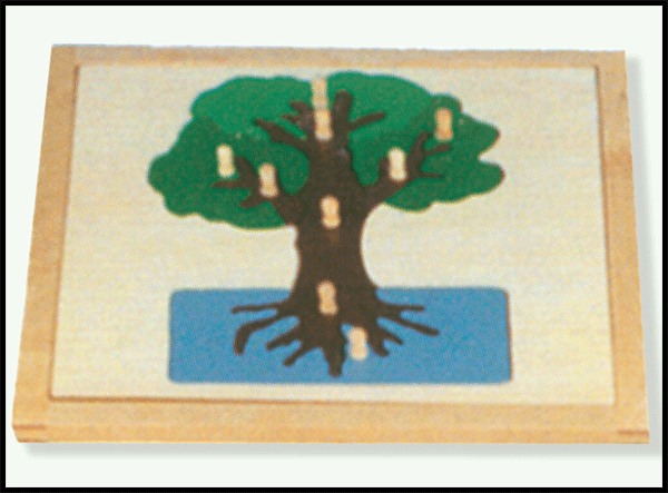 蒙台梭利教具——树嵌板